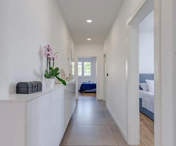 Nevera * 特罗吉尔